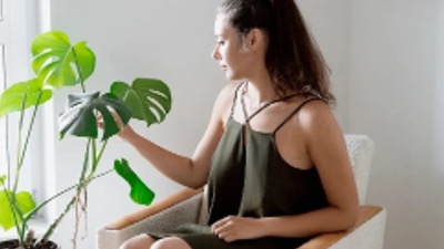 Grow Something
